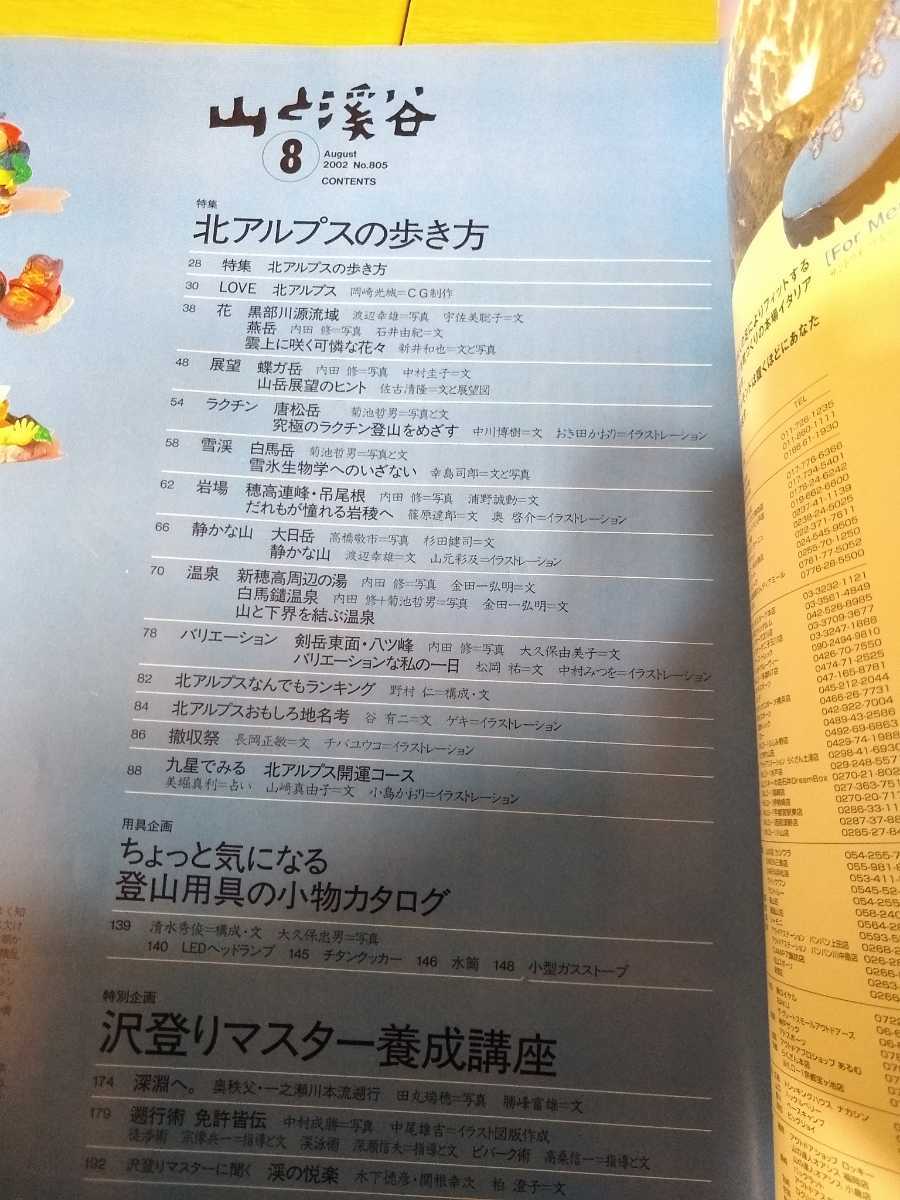 山と溪谷 山と渓谷 2002年 8月 No.805 沢登りマスター養成講座　三浦雄一郎のチョ・オユー登頂記 　深瀬信夫 高桑信一 宗像兵一 木下徳彦