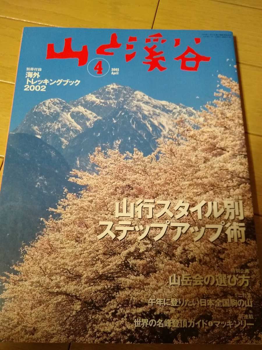 山と溪谷 山と渓谷 2001年 6月 テントで行こう夏の山へ 沢登りの現在形 照葉樹林の奇跡の谷 渓谷遡行のハード・コア 星明りの秘境 藤田弘基