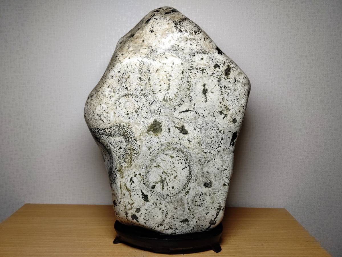 ◇15.4kg◇ ナポレオン石 時計石 球状閃緑岩 原石 鑑賞石 自然石