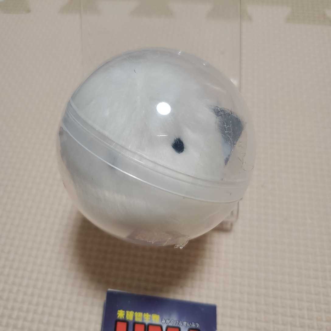 月末処分 未確認生物 Umaのぬいぐるみ 全種ボールチェーン付き 全6種 ケサランパサランのみ Qualia ガチャガチャ カプセルトイ おもちゃ ゲーム 売買されたオークション情報 Yahooの商品情報をアーカイブ公開 オークファン Aucfan Com 月末処分 未確認生物 Umaのぬいぐるみ 全種ボールチェーン付き 全6種 ケサランパサランのみ Qualia ガチャガチャ カプセルトイ おもちゃ ゲーム 売買されたオークション情報 Yahooの商品情報をアーカイブ公開 オークファン Aucfan Com