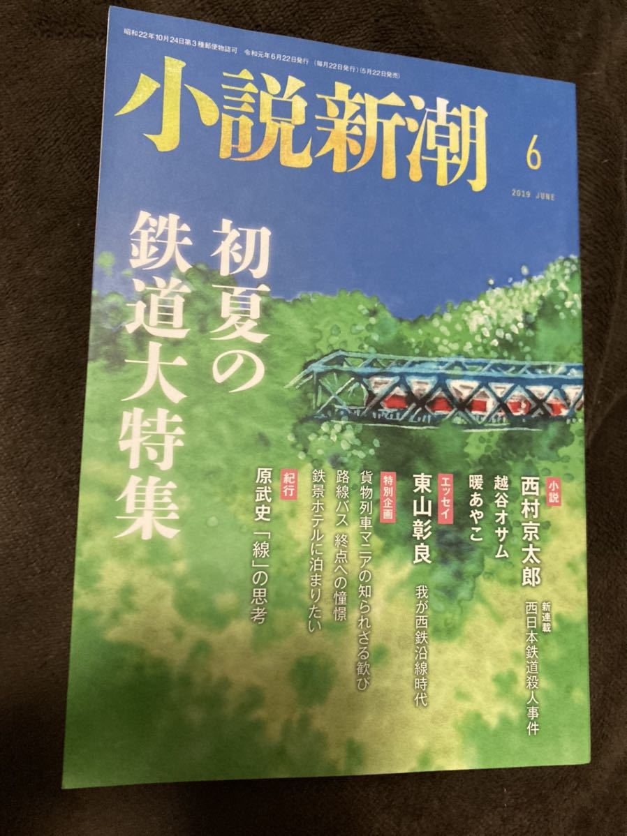 K107-15/小説新潮 2019年6月 西村京太郎 越谷オサム 暖あやこ 東山彰良 初夏の鉄道大特集 _画像1