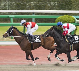 ５日の回収率７２７％！ 枠連２～３点で毎週のように安定した結果の競馬法！ 初心者でも競馬投資！ 競馬予想ソフト！