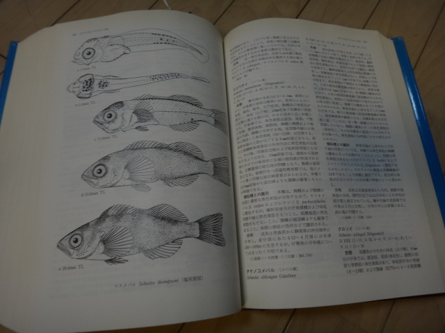魚類図鑑 専門書 日本産稚魚図鑑 東海大学出版会 6