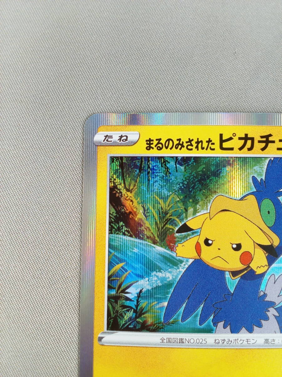 ポケットモンスターココ 特別前売り券 まるのみされたピカチュウ Arkhoediciones Com