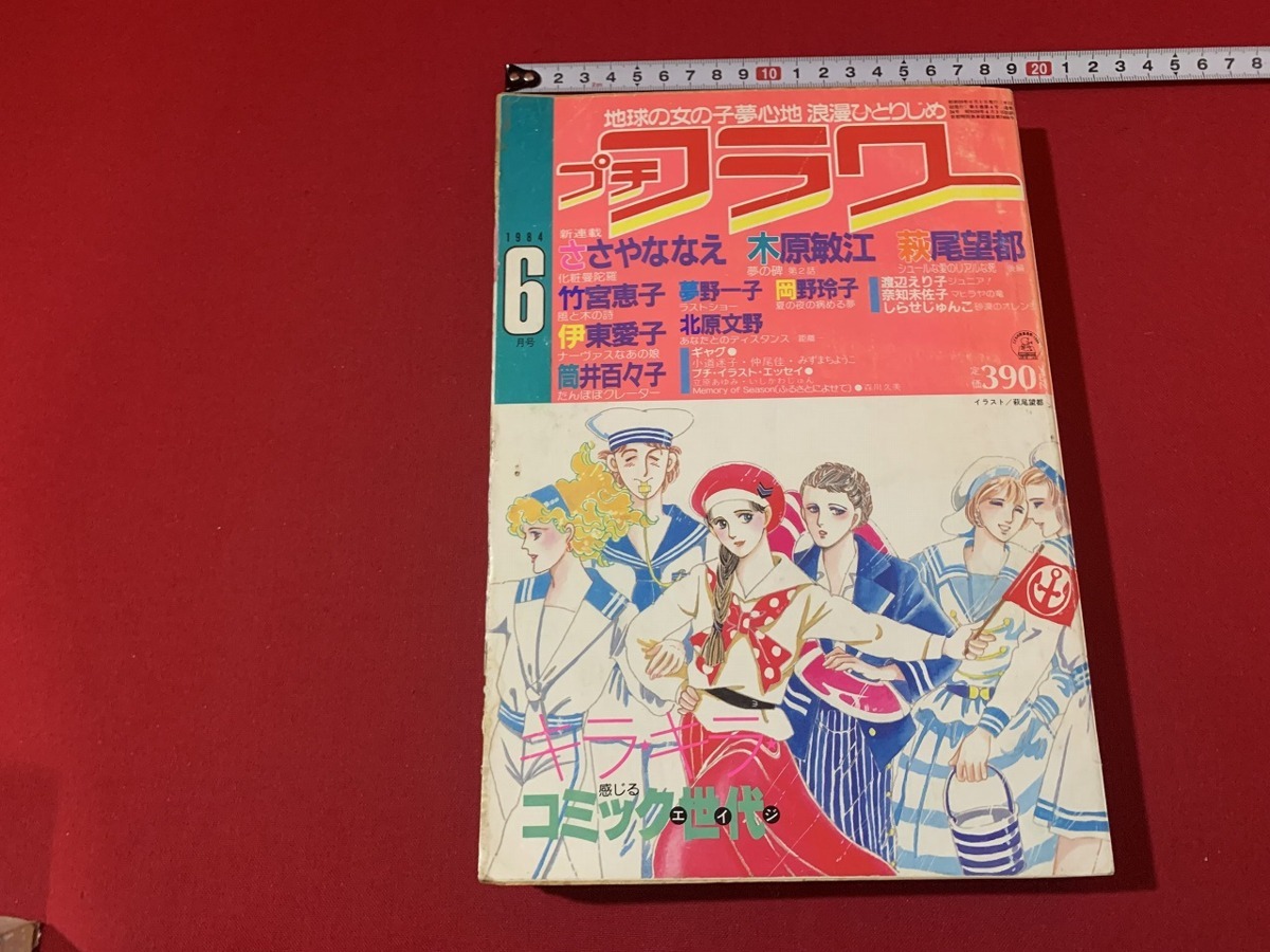 s■　昭和レトロ　プチフラワー　昭和59年6月号　小学館　ささやななえ　萩尾望都　当時物　/　F64_画像1