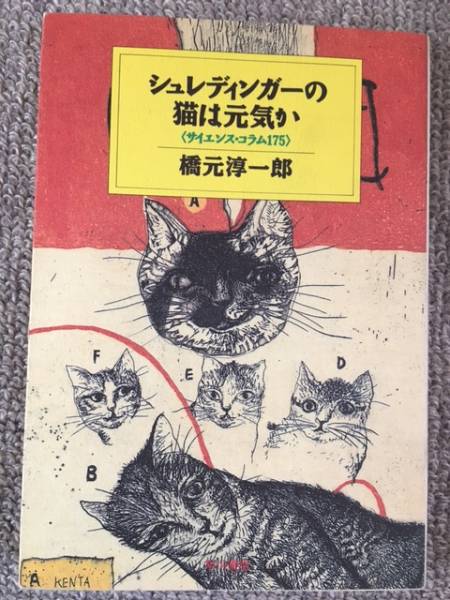 シュレディンガーの猫は元気か　中古良書！！_実物画像です。