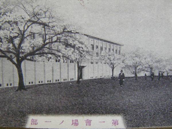 戦前絵葉書 平和記念 東京博覧会 第一会場の一部 桜 大正11年 上野公園 エンボス (G81)_画像2