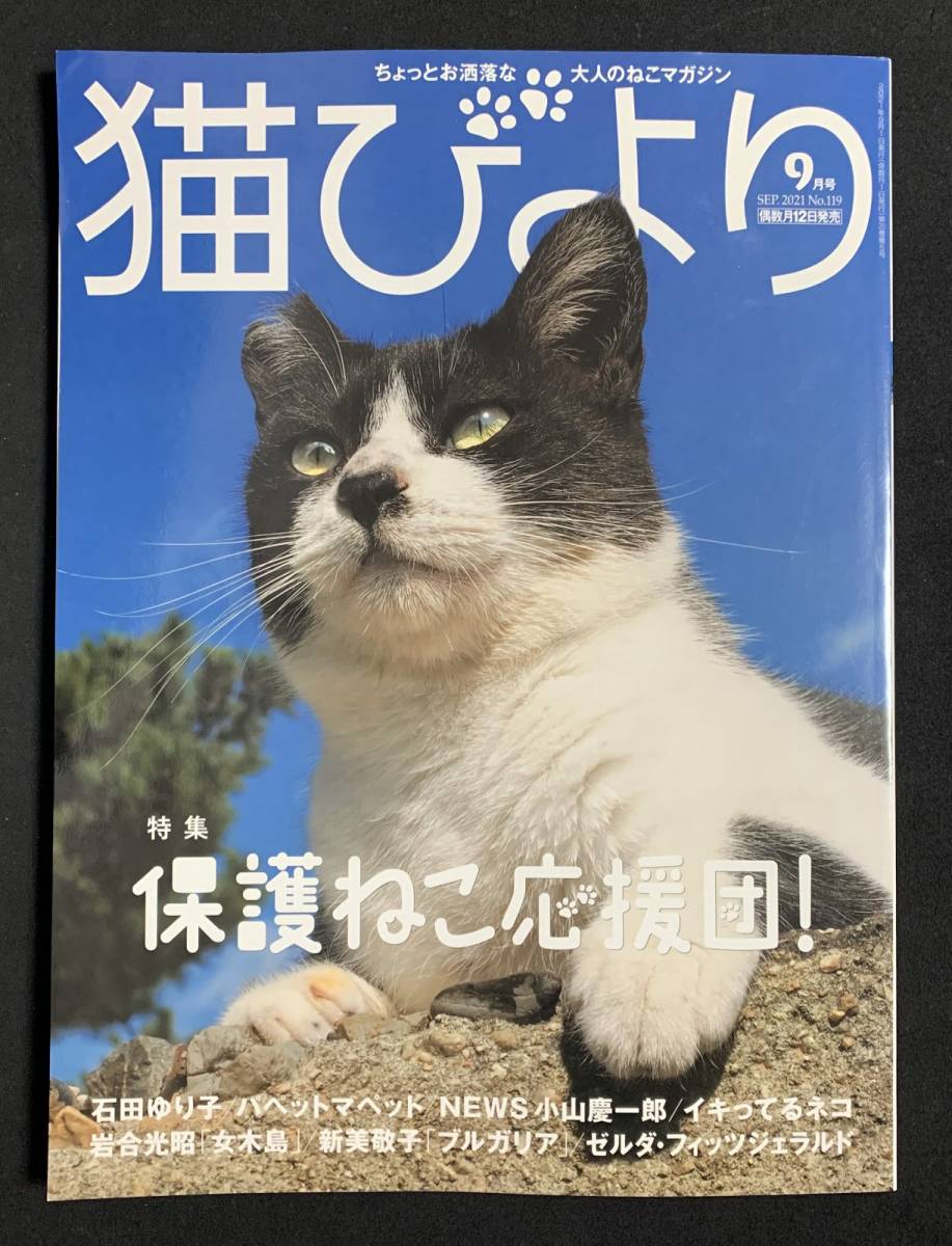  кошка ...2021 год 9 месяц номер защита .. отвечающий .. Ishida Yuriko скала . свет . Ояма . один .