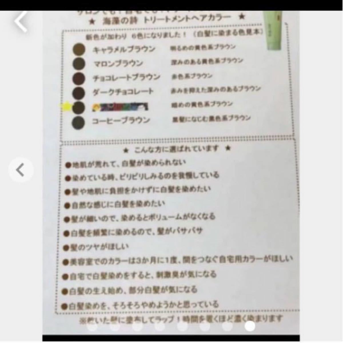 海藻の詩 ★チョコレートブラウン200gカラートリートメント×2 個セット