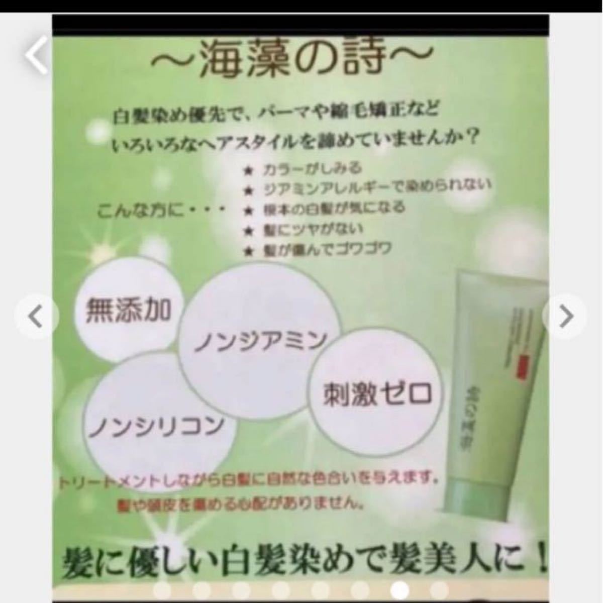 海藻の詩 チョコレートブラウン200gカラートリートメント×2 個 海藻の詩 チョコレートブラウン200gカラートリートメント×2 個