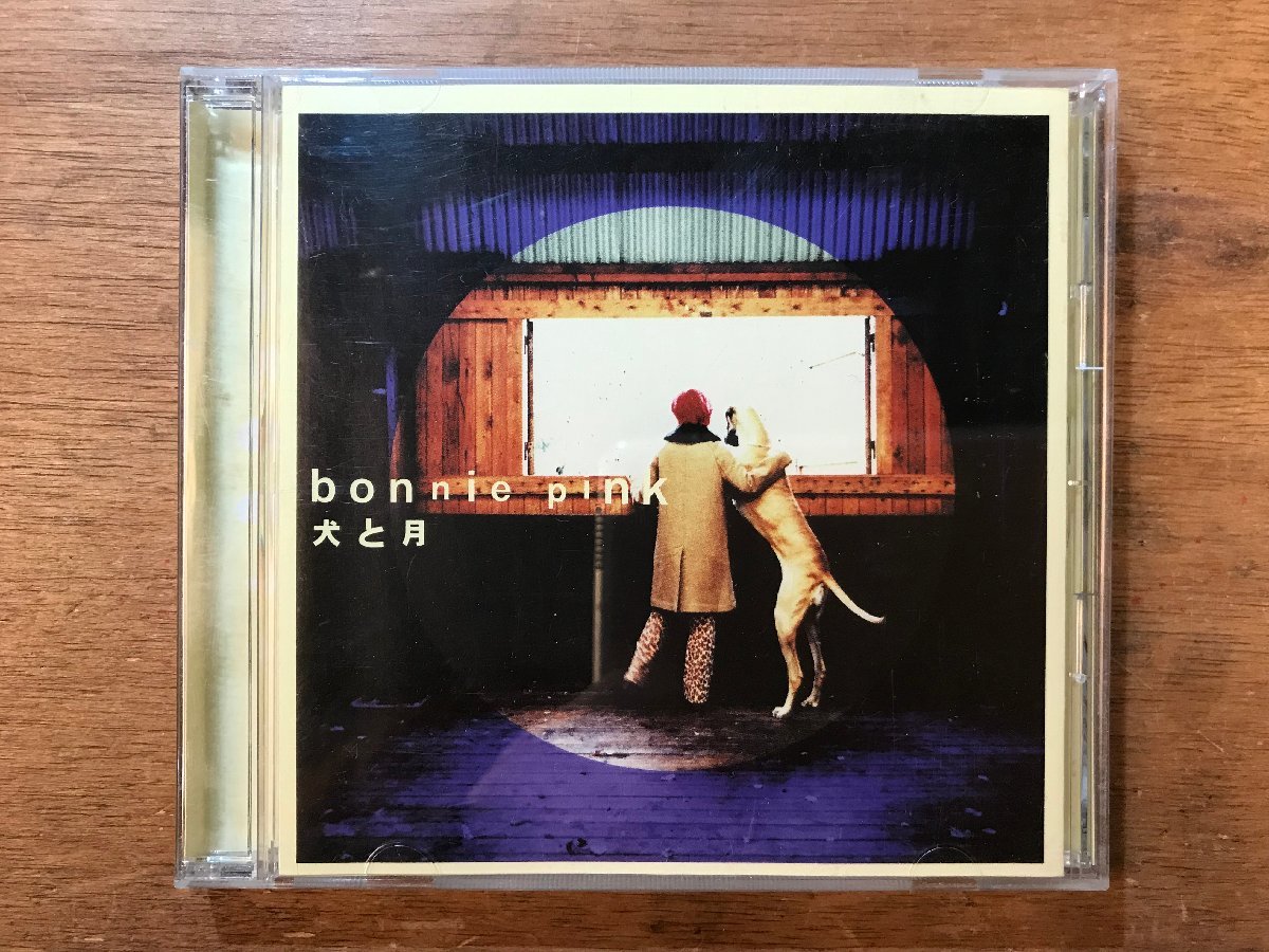 ■送料無料■ ボニーピンク 犬と月 bonnie pink CD 音楽 MUSIC /くKOら/DD-4736_画像1