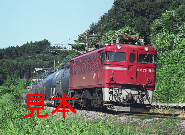 鉄道写真、645ネガデータ、144179730005、ED75-111＋貨物、JR東北本線、豊原〜白坂、2005.07.28、（4366×3197）_画像1