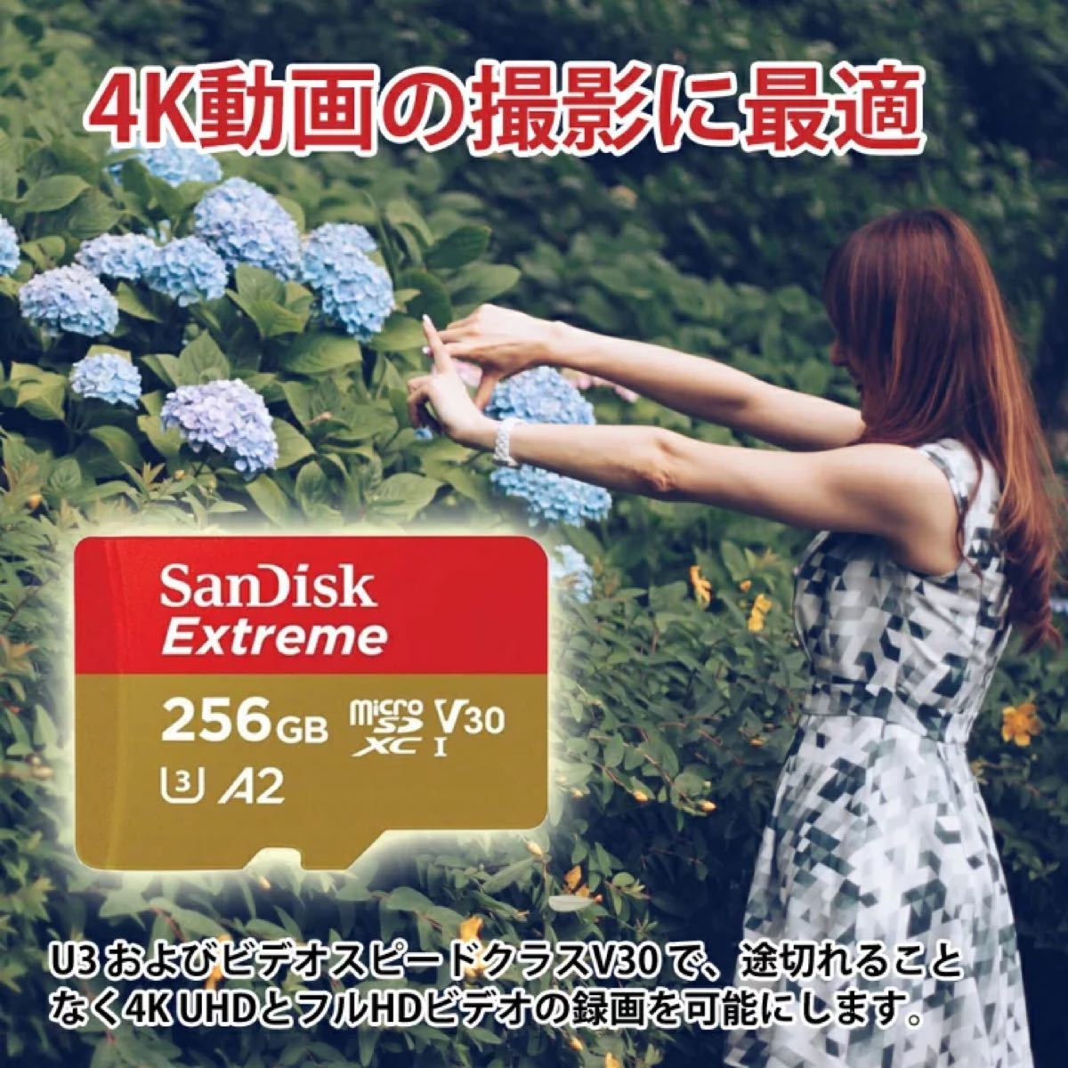 SanDisk microSDカード 256GB Extreme A2（2個）