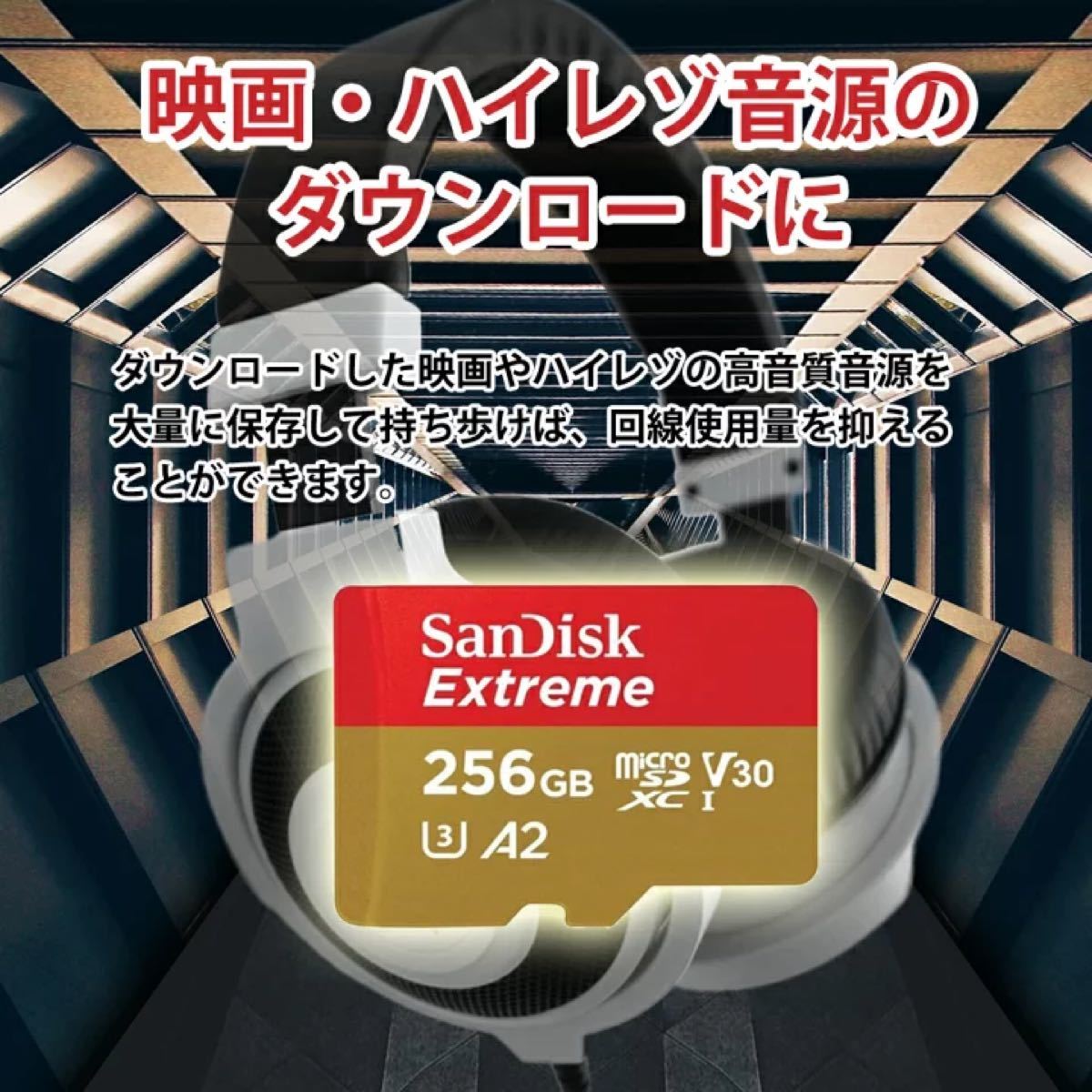 SanDisk microSDカード 256GB Extreme A2（2個）