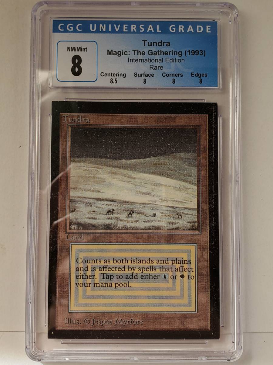 ●MTG● IE Tundra(英語 CGC 8)