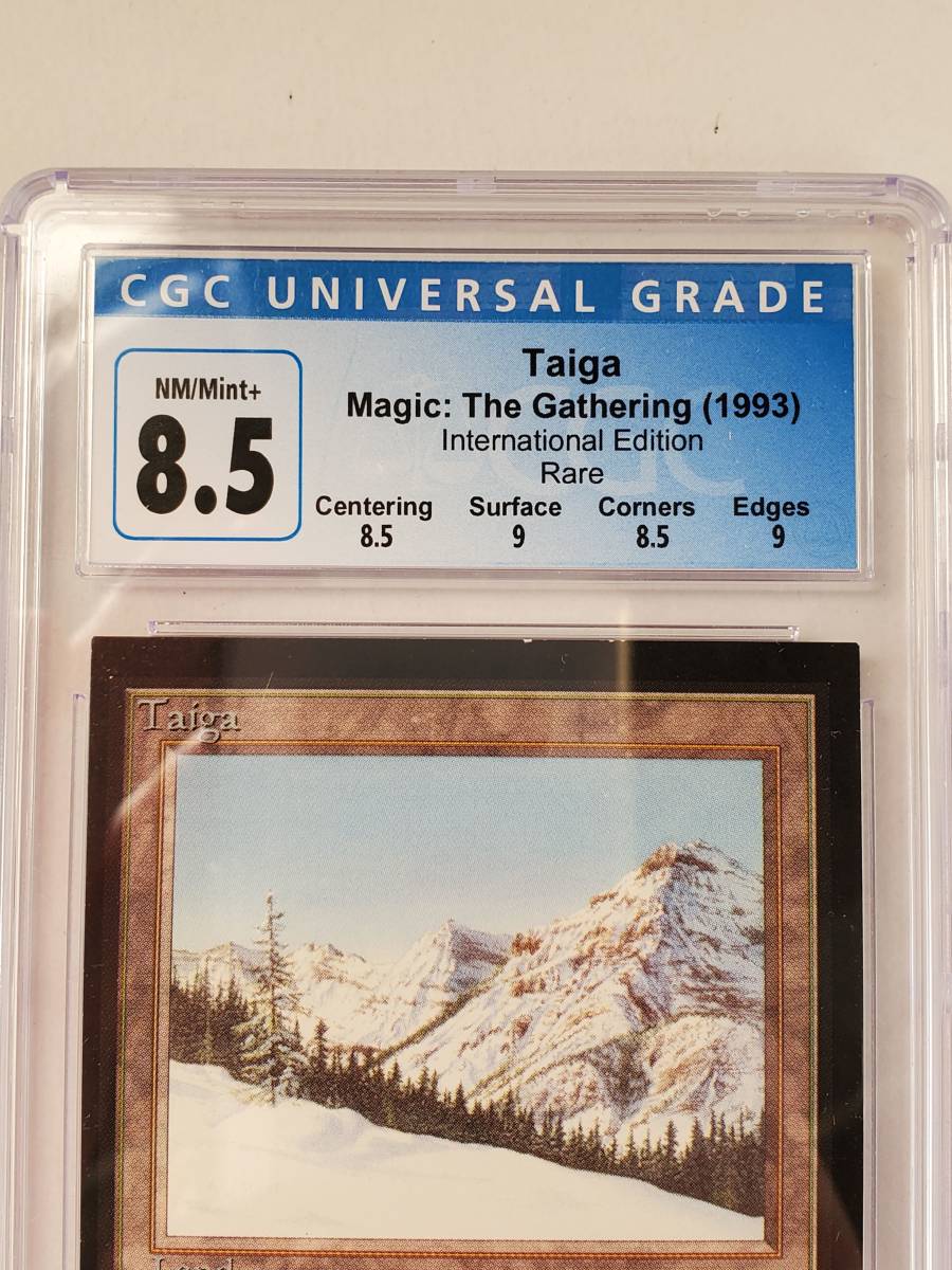 【IE】鑑定 MTG Taiga Taiga トレーディングカード 【IE】鑑定 MTG