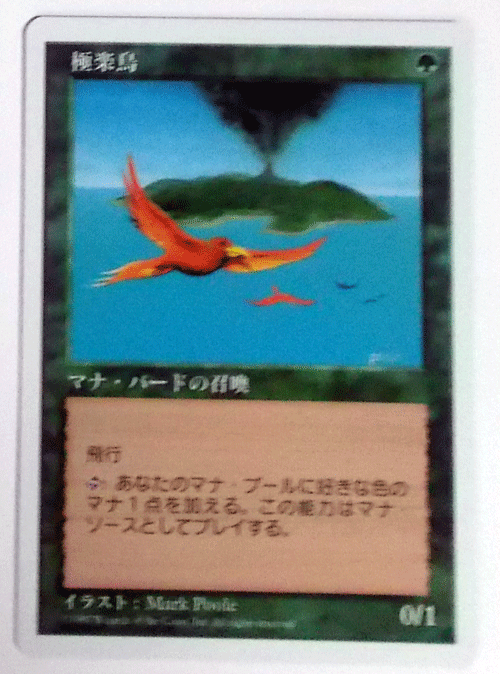 ＭTG日本語/極楽鳥/第五版/レア_画像1