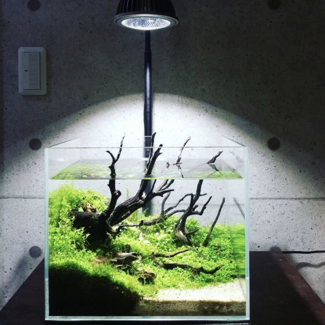 AMATERAS LED 20W 【E26 PLANT CLIP BLACK SET】植物育成LED 太陽光LED アクアリウムLED テラリウム 室内太陽光LED 検索用:アマテラス 8