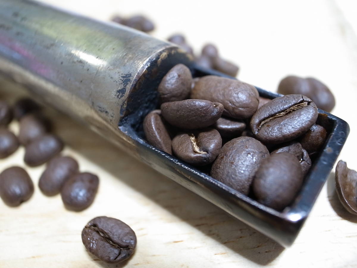 自家焙煎アチャオコーヒー　コーヒー発祥の地 エチオピア イリガチャフェ 焙煎したて 100g 送料込み！