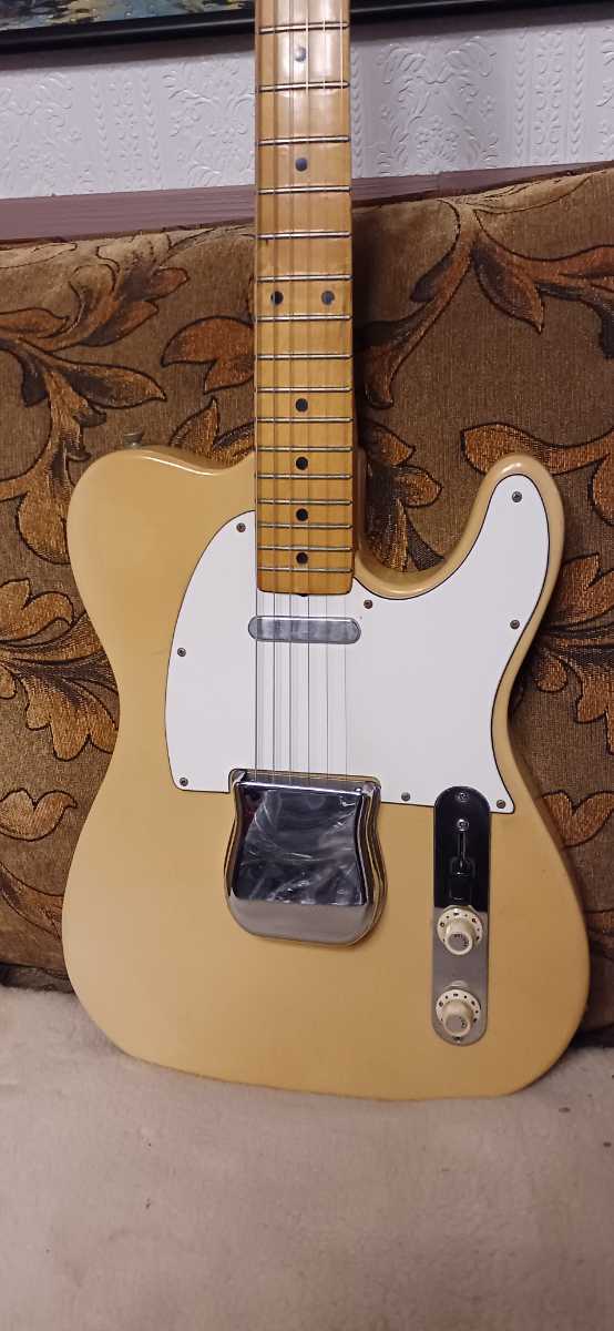 goldfieldstvet.edu.za - Hisonus EXCELLENT GUITARエレキギター