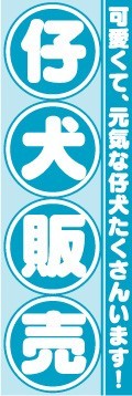 のぼり　のぼり旗　仔犬販売　可愛くて、元気な仔犬たくさんいます！_画像1