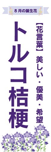 のぼり　トルコ桔梗　8月の誕生花　お花　イベント　のぼり旗_画像1