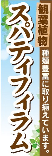 のぼり　ガーデン　観葉植物　スパティフィラム　種類豊富に取り揃えています。　のぼり旗_画像1