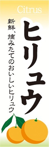 のぼり　柑橘類　ヒリュウ　飛龍　のぼり旗_画像1