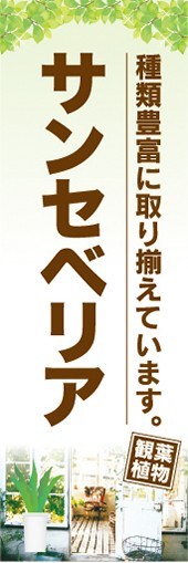 のぼり　ガーデン　観葉植物　サンセベリア　種類豊富に取り揃えています。　のぼり旗_画像1