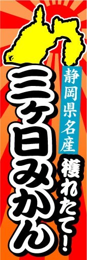 のぼり　のぼり旗　静岡県名産　穫れたて！　三ヶ日みかん_画像1