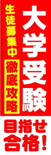 のぼり　のぼり旗　大学受験　徹底攻略　目指せ合格！_画像1