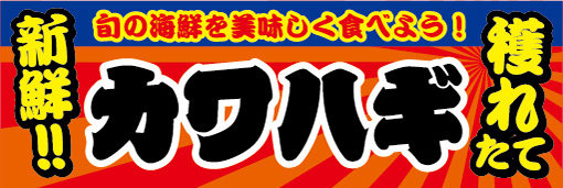 横断幕　横幕　水産物　海産物　新鮮！穫れたて　カワハギ　かわはぎ_画像1