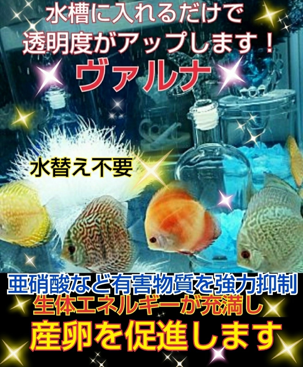 池の水が綺麗になります！【ヴァルナ☆養殖池用】高波動により自然由来の作用で透明度が増します☆池に入れるだけ！錦鯉の抵抗力もアップ☆_ディスカスの飼育者も愛用しています！