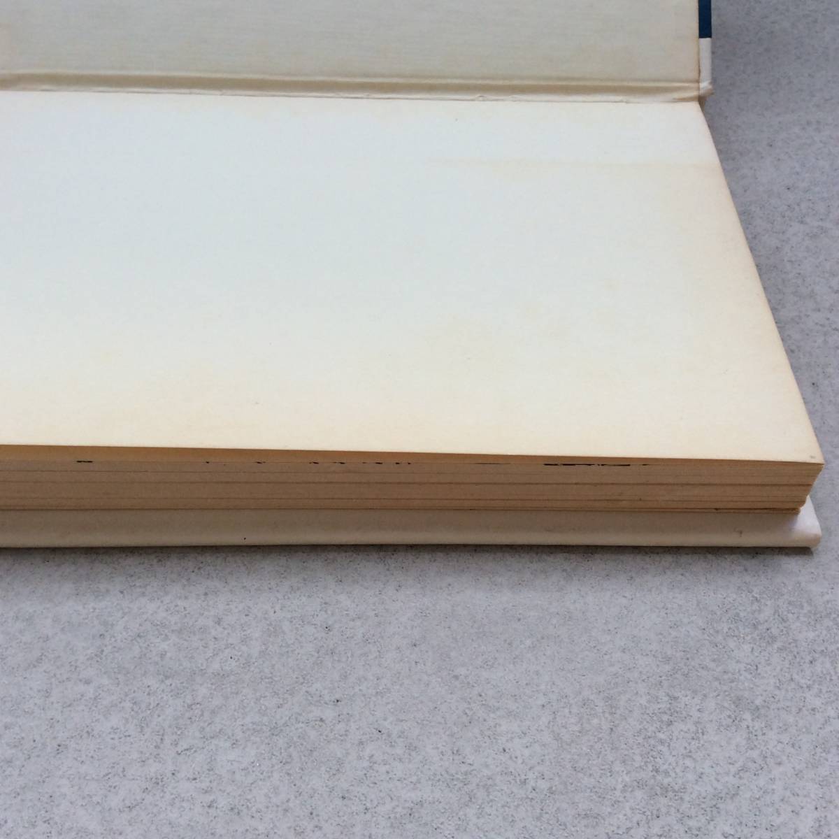 Operating Manual for Spaceship Earth / R. Buckminster Fuller Operating Manual for Spaceship Earth / R. Buckminster Fuller