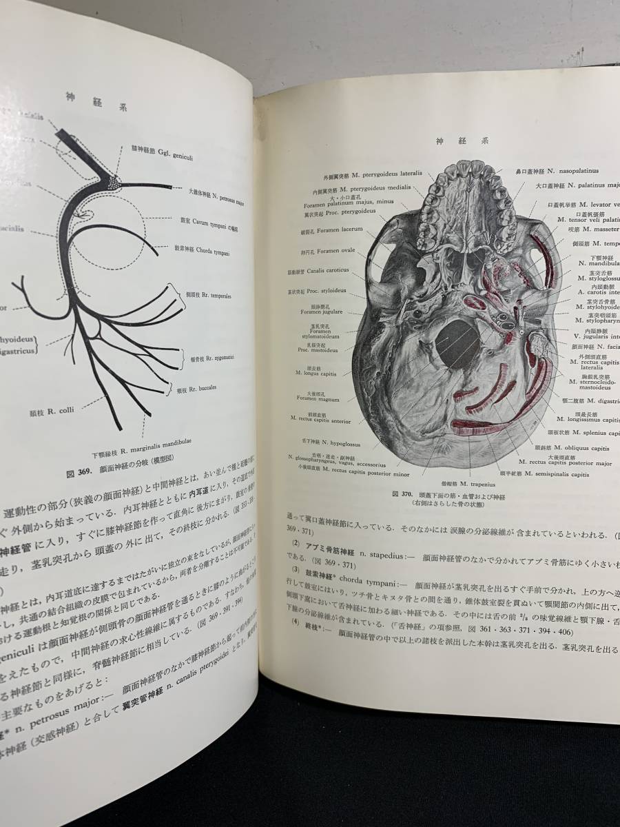 『HI 1977年「人体解剖学」 医学博士 藤田恒太郎：著書 南光堂 解剖学者』_画像6