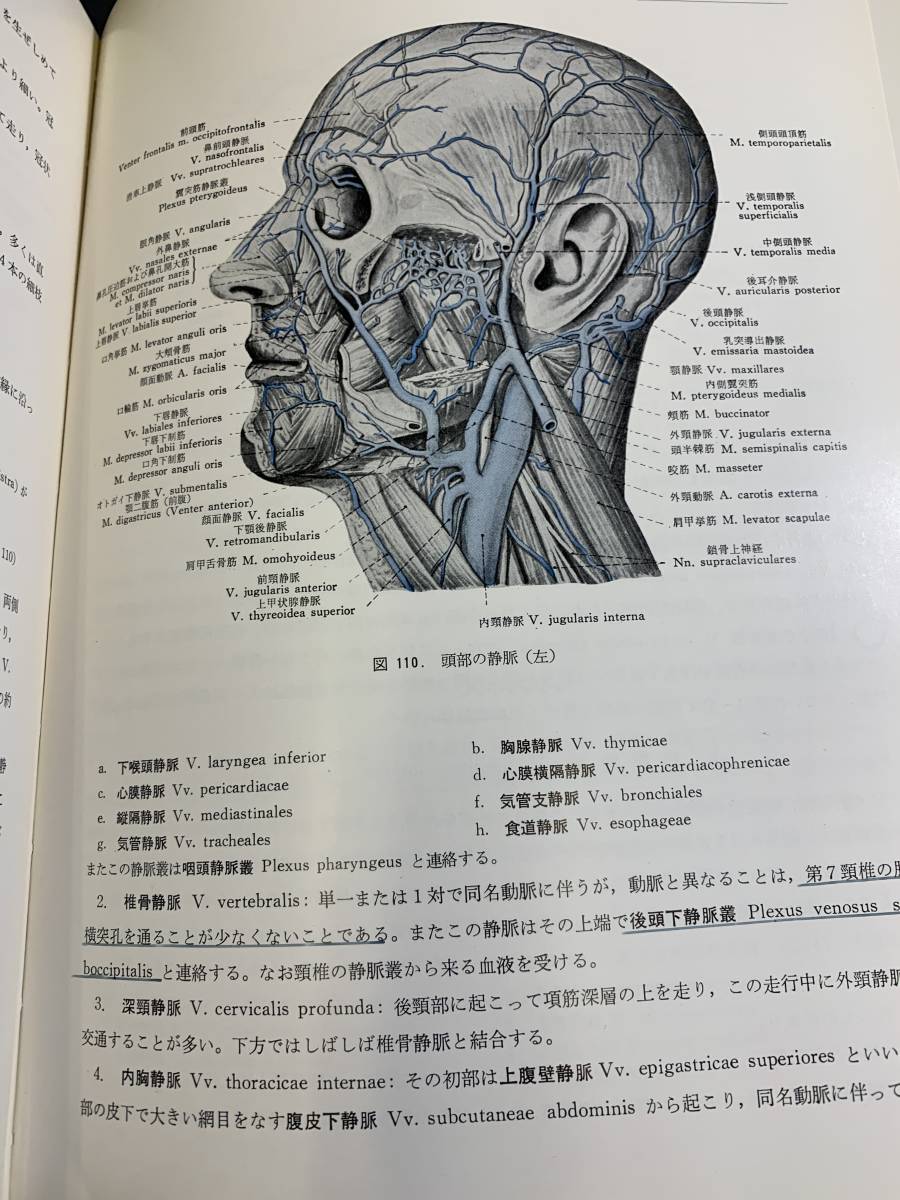 『HI 1977年年 「解剖学①②③巻セット 改訂10版」平沢興・岡本道雄：著書　金原出版』_画像7