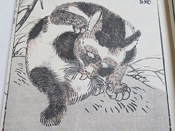 Yahoo!オークション - 明治期頃 花鳥画譜 1冊 芸艸堂 和本 絵本 Yahoo!オークション - 明治期頃 花鳥画譜 1冊 芸艸堂 和本 絵本