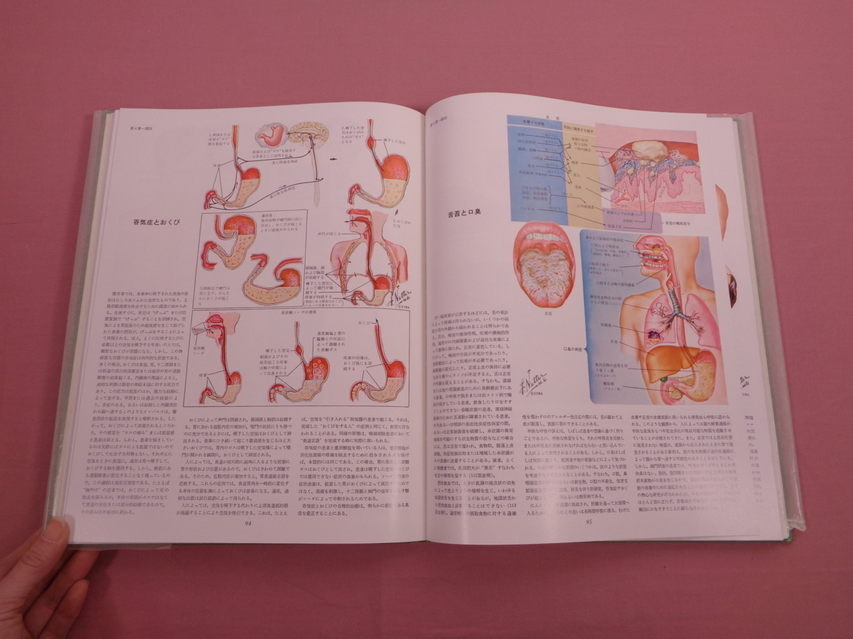  large book@[ Netter medicine map . compilation together 3 pcs. set .. vessel compilation?~? ] Frank H.Netter Japan chibagaigi- circle .