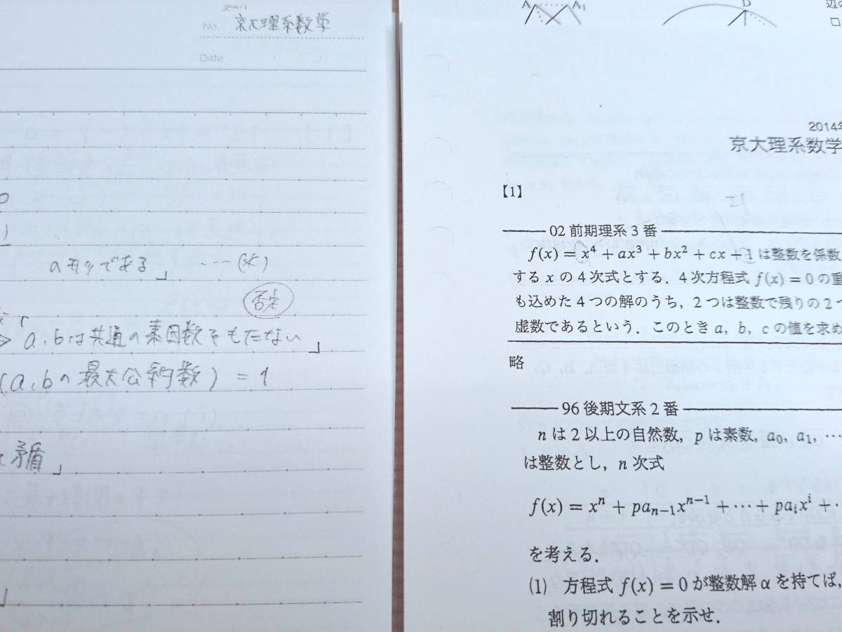 駿台 米村明芳先生 夏期 京大理系数学 問題・解説フルセット 難関大 鉄