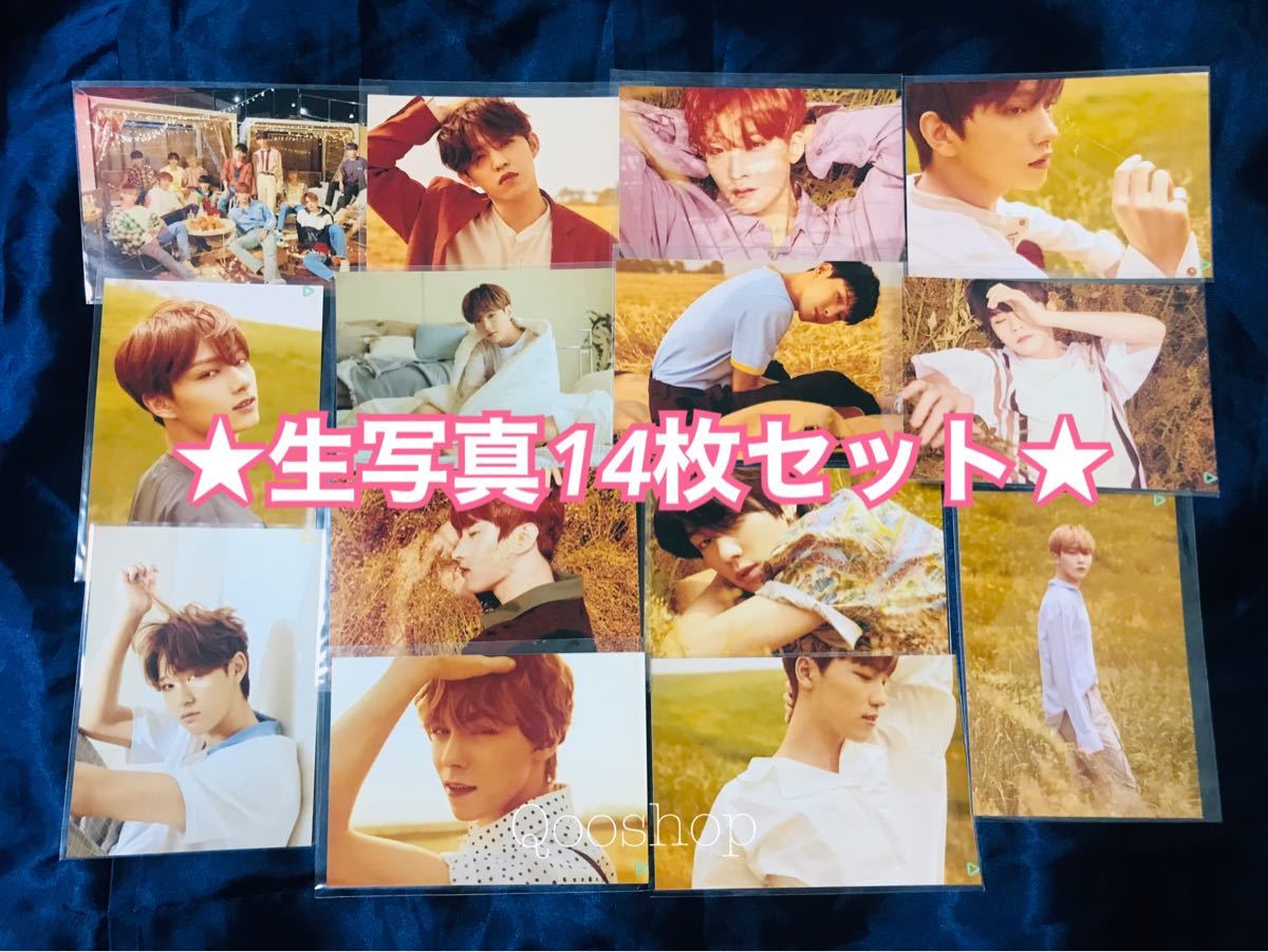 SEVENTEEN YOU MAKE MY DAY ymmd キノアルバム 生写真 セブチ 全員