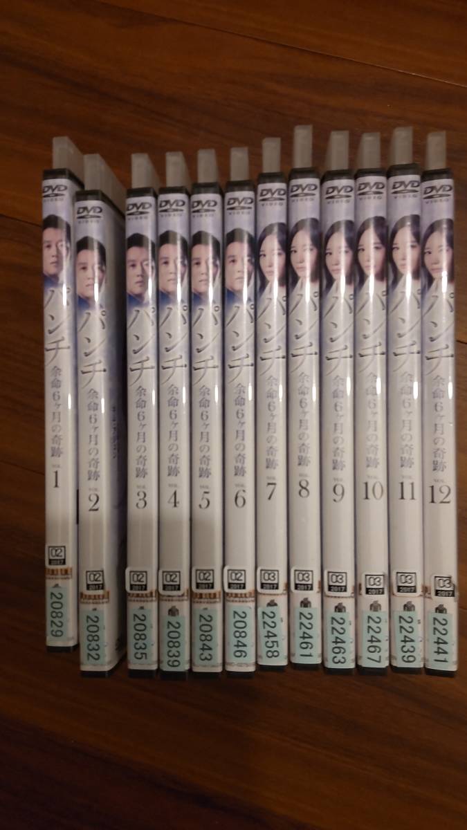 パンチ DVD全巻セット レンタル落ち