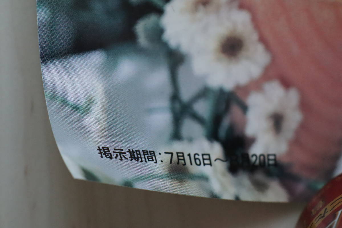 ■荻野目洋子 サークルK販促ポスター A1サイズ／夏の誘惑。_画像8