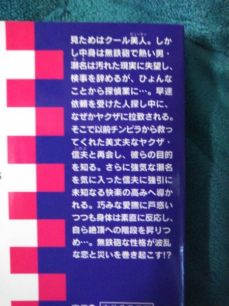 ☆愁堂れな　あぶない奴が多すぎる　新書_画像2