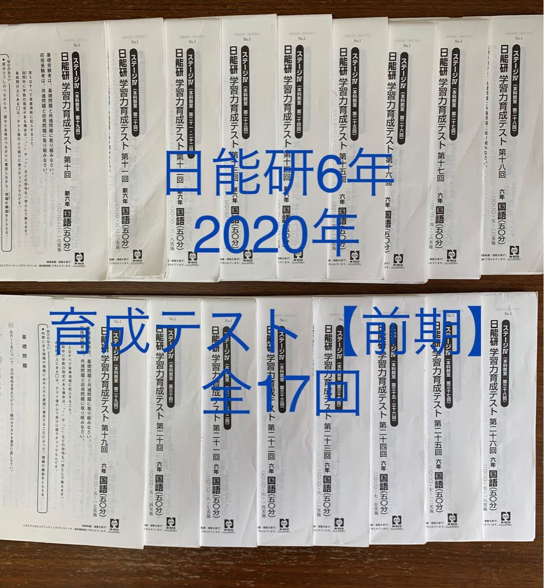 日能研 6年 2020年【前期】育成テスト 全17回（¥14,600
