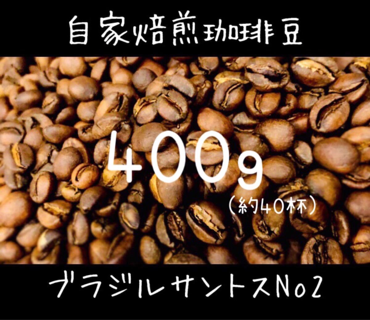 注文後焙煎 ブラジルサントスNo2 珈琲豆 コーヒー豆 【豆or粉】400g