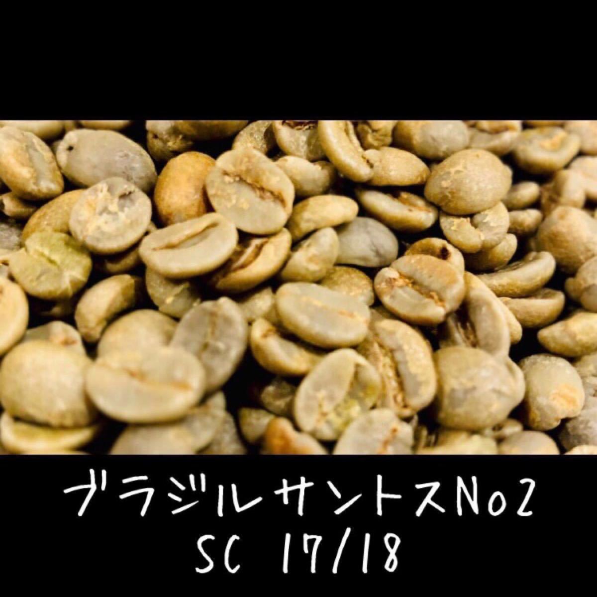 ブラジルサントスNo2 生豆 自家焙煎用 珈琲豆 コーヒー豆 800g 送料無料