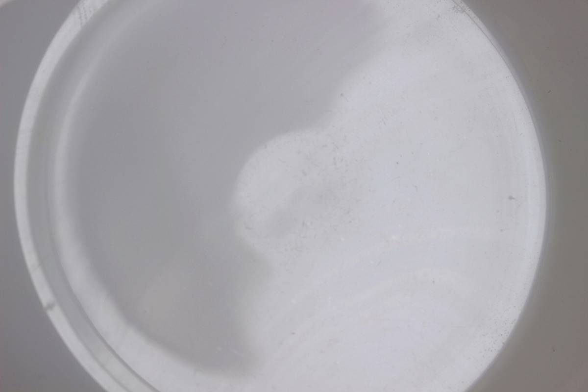 絶妙なデザイン fire king ファイヤーキング WHITE RWセット laverite.mg