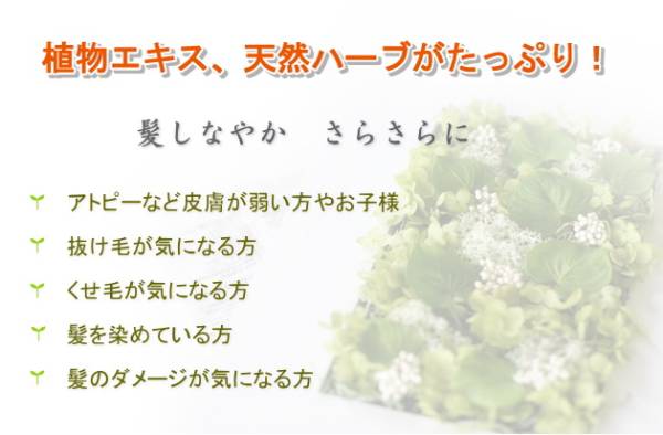 ポアソゼロリンス 300ml ダメージ くせ毛 抜け毛 アミノ酸系無添加 植物エキス天然ハーブ配合 クセ毛 癖毛 ヘアサロン専売品