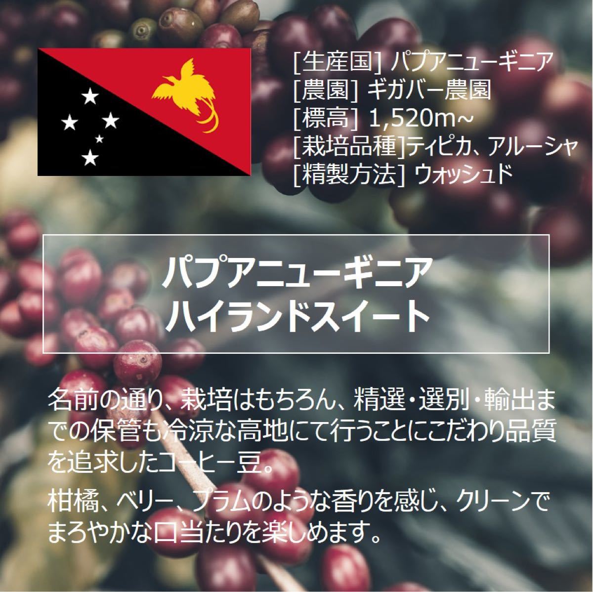 【自家焙煎コーヒー豆】パプアニューギニア ハイランドスイート100g