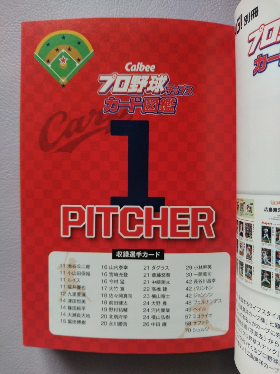 Calbeeプロ野球チップスカード図鑑 広島東洋カープ